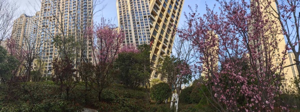 3.26 ºÏ2.jpg 3.26 ºÏ2.jpg